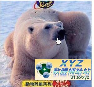 Discovery Kids 動物英雄系列 第一篇 北極酷熊Cool Bears 01-03集 國語/英語發音 英文/繁體中文/簡體中文語言字幕版(DVD版)(幼兒教學)(適用任何家用DVD播放機)